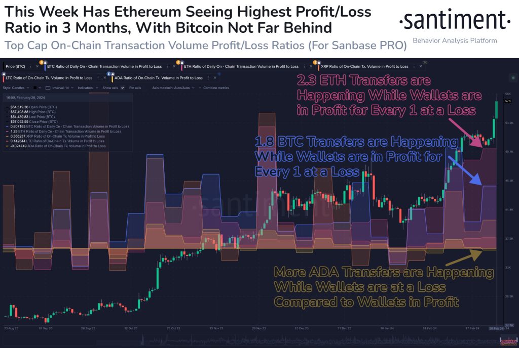 Cardano vs Bitcoin vs Ethereum